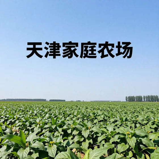 天津家庭农场